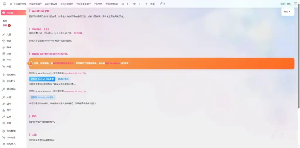 20240911095840864-image-52-NrOQ.webp